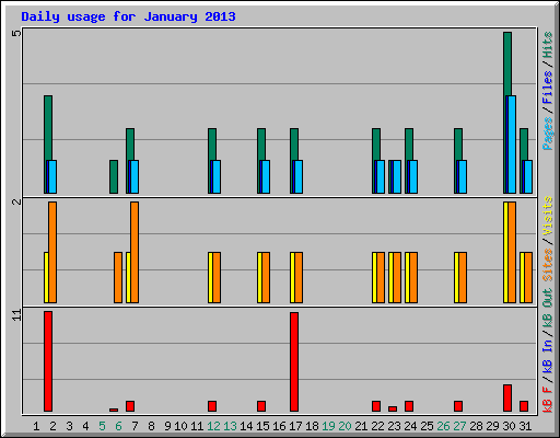 Daily usage for January 2013