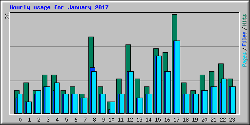 Hourly usage for January 2017
