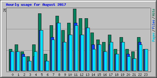 Hourly usage for August 2017